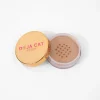 Revolution Beauty BH Prism Loose Powder Highlighter Bronze^ Highlighter