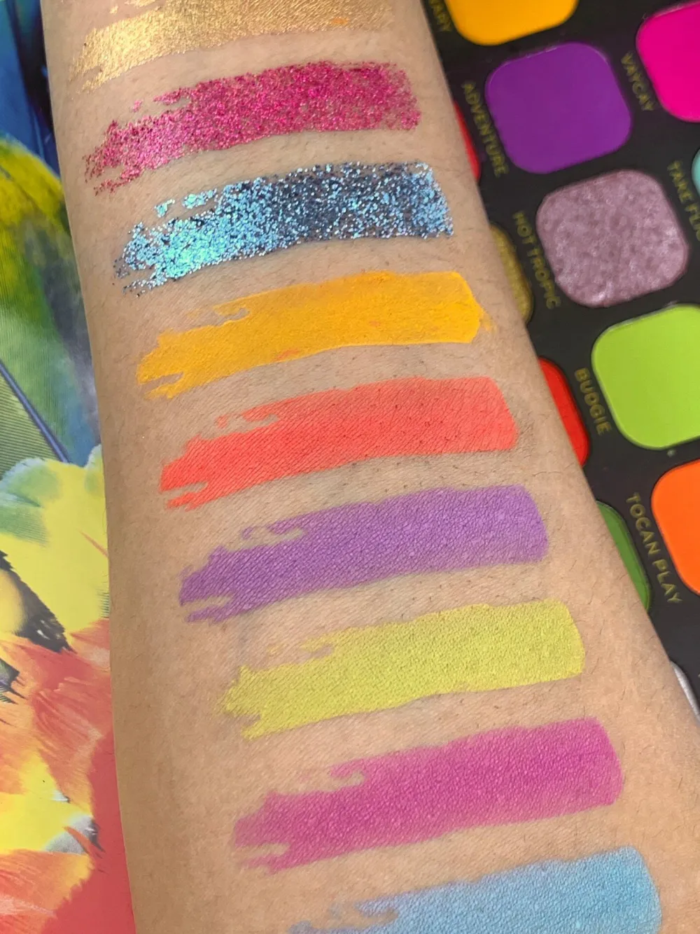 Revolution Beauty Makeup Revolution Forever Flawless Bird of Paradise Shadow Palette^ Shadow Palettes